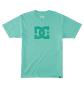 T-Shirt DC Shoes DC Star - Biscay Green Enzyme Wash